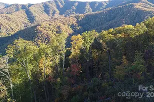 9999 Conleys Creek, Whittier, NC 28789 - Photo 15