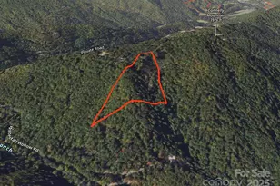 9999 Conleys Creek, Whittier, NC 28789 - Photo 11