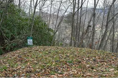 19 Flowing Hills Drive #19, 20, Clyde, NC 28721 - Photo 13