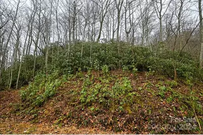 19 Flowing Hills Drive #19, 20, Clyde, NC 28721 - Photo 9