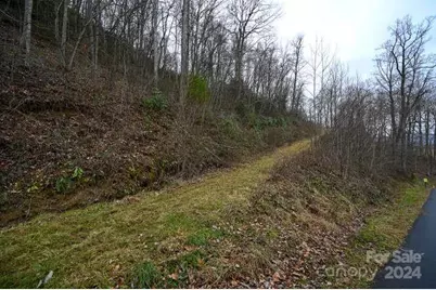 19 Flowing Hills Drive #19, 20, Clyde, NC 28721 - Photo 5