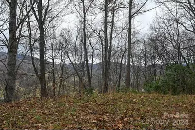 19 Flowing Hills Drive #19, 20, Clyde, NC 28721 - Photo 11