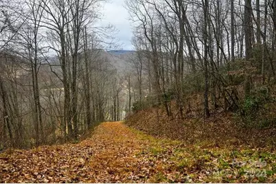 19 Flowing Hills Drive #19, 20, Clyde, NC 28721 - Photo 1
