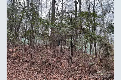 397 Soquili Drive, Brevard, NC 28712 - Photo 33