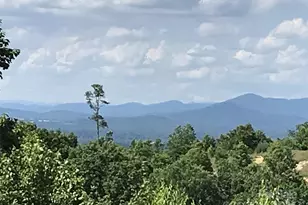 99999 Bay Laurel Ln, Hendersonville, NC 28791 - Photo 3