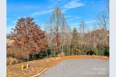 99999 Bay Laurel Lane, Hendersonville, NC 28791 - Photo 7