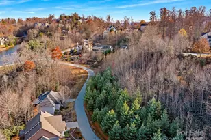 99999 Bay Laurel Ln, Hendersonville, NC 28791 - Photo 25