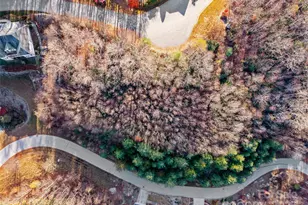 99999 Bay Laurel Ln, Hendersonville, NC 28791 - Photo 21