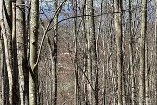 146 E Clubhouse Rd, Sylva, NC 28779 - Photo 1