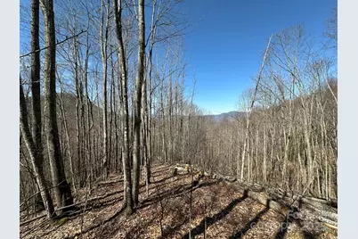 146 E Clubhouse Road #99, Sylva, NC 28779 - Photo 3