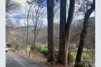 0 Gospel Drive, Sylva, NC 28779 - Photo 13