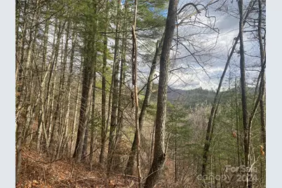 0 Gospel Drive, Sylva, NC 28779 - Photo 5
