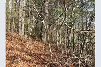 0 Gospel Drive, Sylva, NC 28779 - Photo 3