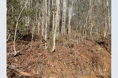 0 Gospel Drive, Sylva, NC 28779 - Photo 7