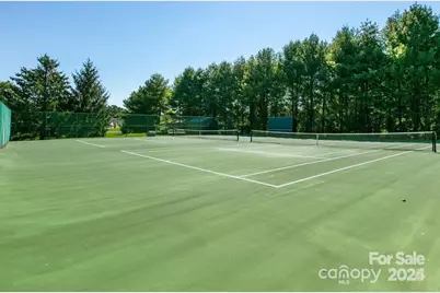 24 Gray Wolf Lane, Hendersonville, NC 28792 - Photo 39