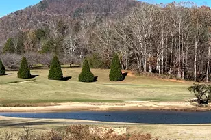 171 Wilson Ct, Lake Lure, NC 28746 - Photo 45