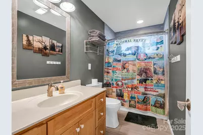 171 Wilson Court, Lake Lure, NC 28746 - Photo 29