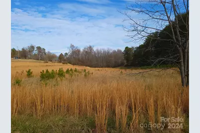 000 Herbert Page Road, Tryon, NC 28782 - Photo 1