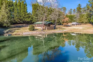 620 Smith Waldrop Rd, Columbus, NC 28722 - Photo 1