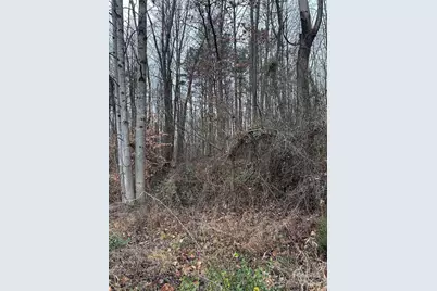 1122 State Street S, Yadkinville, NC 27055 - Photo 3