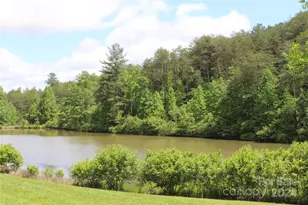 126 Cougar Rd, Casar, NC 28020 - Photo 45