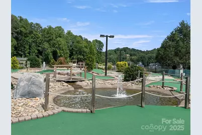 155 Quail Cove Road #1602, Lake Lure, NC 28746 - Photo 41