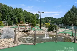 155 Quail Cv Rd, Lake Lure, NC 28746 - Photo 41