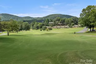 155 Quail Cv Rd, Lake Lure, NC 28746 - Photo 47