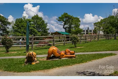 301 Pinnacle Inn Road #4313, Beech Mountain, NC 28604 - Photo 43