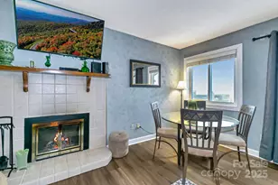 301 Pinnacle Inn Rd, Beech Mountain, NC 28604 - Photo 23