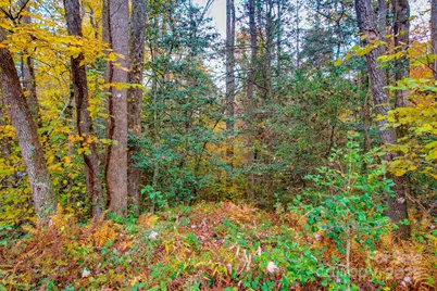 00 Grandin Road #2, Lenoir, NC 28645 - Photo 5