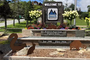 301 Pinnacle Inn Rd, Beech Mountain, NC 28604 - Photo 43