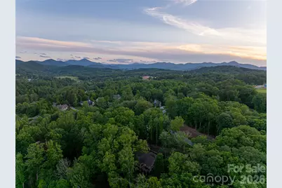 47 Twilight Sedge Drive, Candler, NC 28715 - Photo 45
