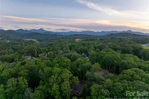 47 Twilight Sedge Dr, Candler, NC 28715 - Photo 45
