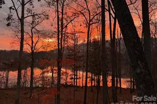 47 Twilight Sedge Dr, Biltmore Lake, NC 28715 - Photo 47