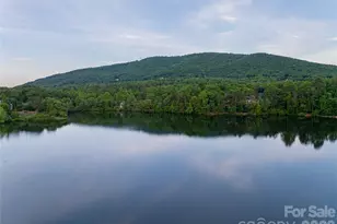 47 Twilight Sedge Dr, Biltmore Lake, NC 28715 - Photo 45