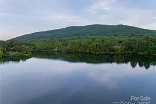 47 Twilight Sedge Dr, Biltmore Lake, NC 28715 - Photo 45