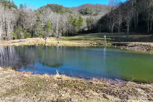 3076 Anderson Cove Rd, Marshall, NC 28753 - Photo 43