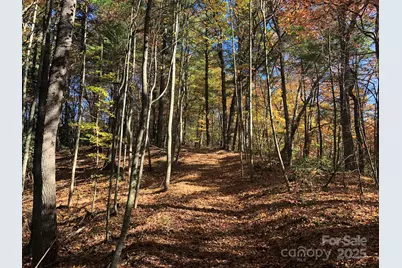 3076 Anderson Cove Road, Marshall, NC 28753 - Photo 37