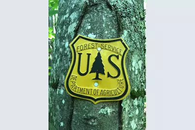 3076 Anderson Cove Road, Marshall, NC 28753 - Photo 31