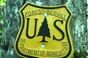 3076 Anderson Cove Rd, Marshall, NC 28753 - Photo 31