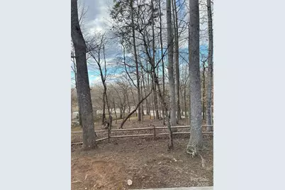 1597 Cleghorn Mill Road, Rutherfordton, NC 28139 - Photo 23