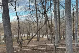 1597 Cleghorn Mill Rd, Rutherfordton, NC 28139 - Photo 23