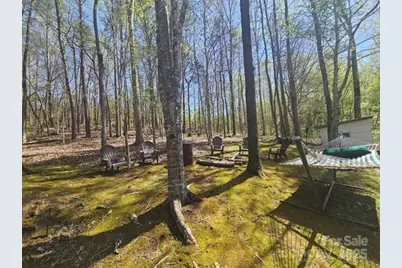 1597 Cleghorn Mill Road, Rutherfordton, NC 28139 - Photo 19