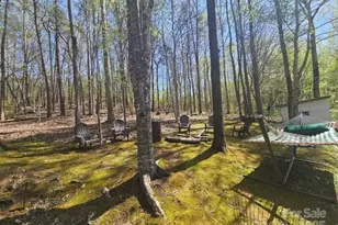 1597 Cleghorn Mill Rd, Rutherfordton, NC 28139 - Photo 19