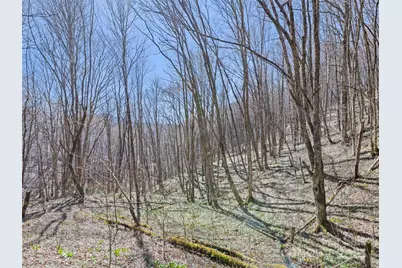 000 Fie Top Road, Maggie Valley, NC 28751 - Photo 29