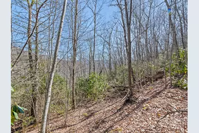 000 Fie Top Road, Maggie Valley, NC 28751 - Photo 21