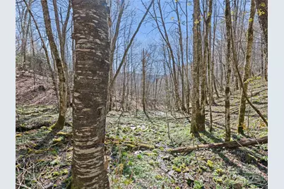 000 Fie Top Road, Maggie Valley, NC 28751 - Photo 27