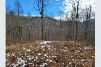 Off Alarka Road, Bryson City, NC 28713 - Photo 37