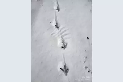 Off Alarka Road, Bryson City, NC 28713 - Photo 45